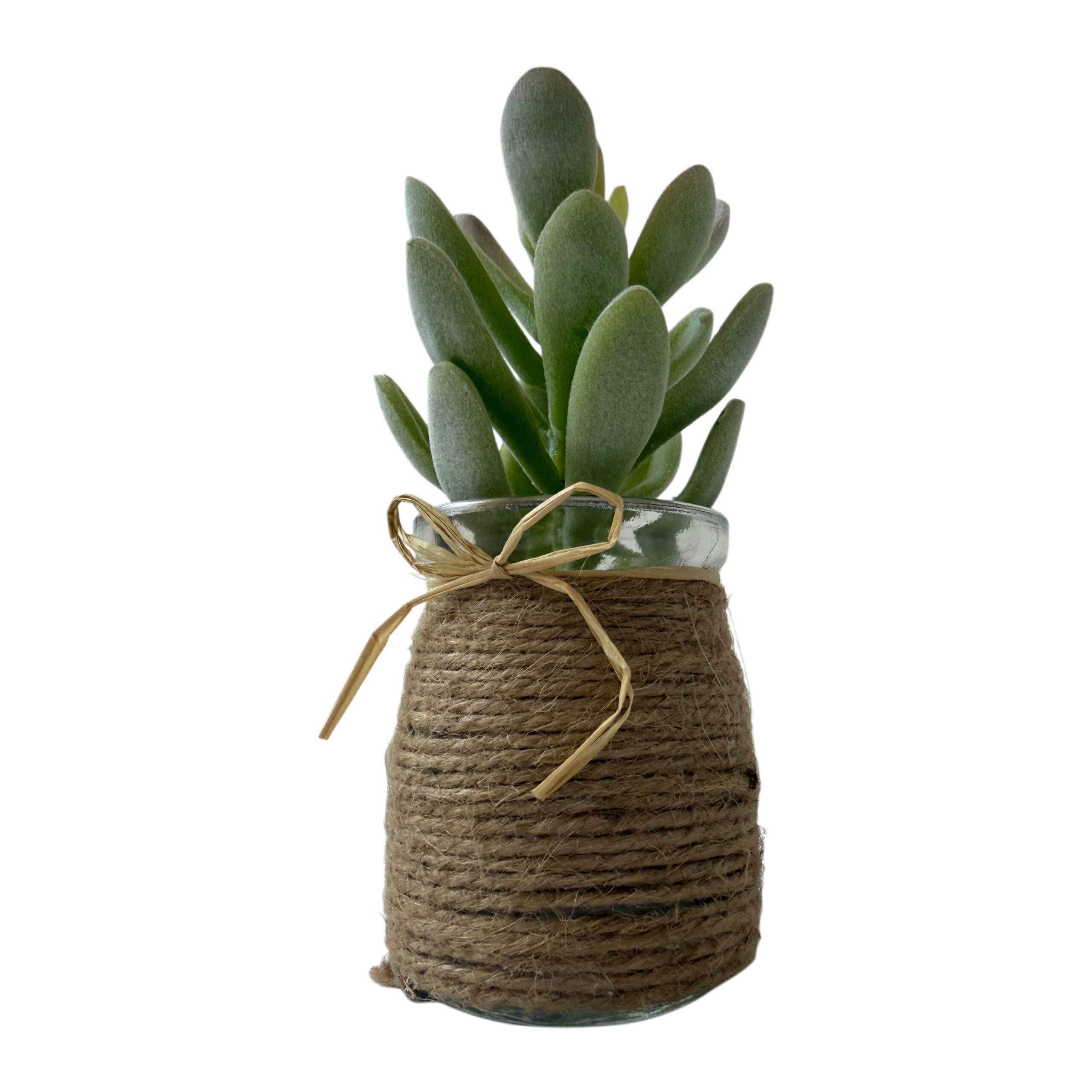 Suculenta artificial con base de cristal