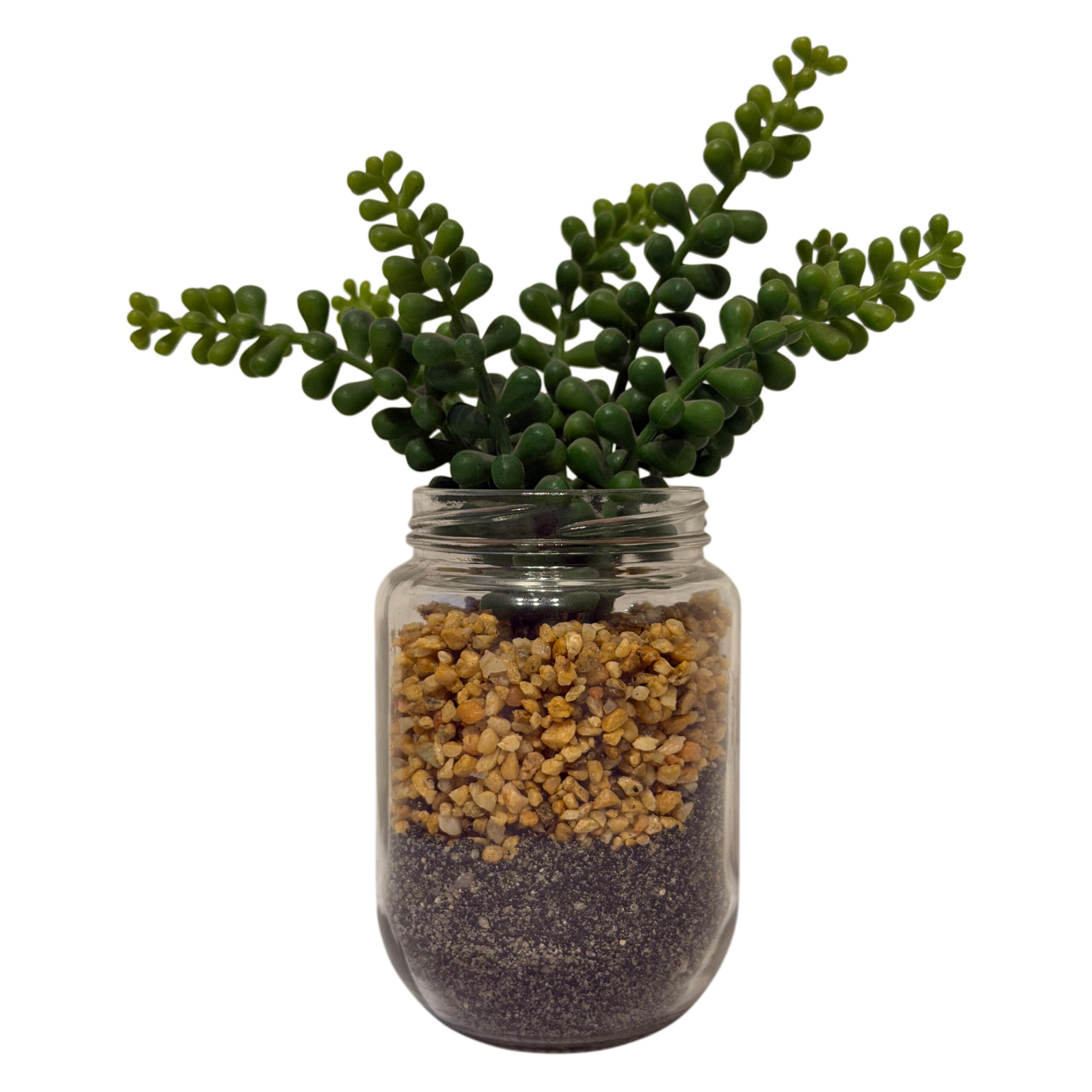 Suculenta artificial con base de cristal