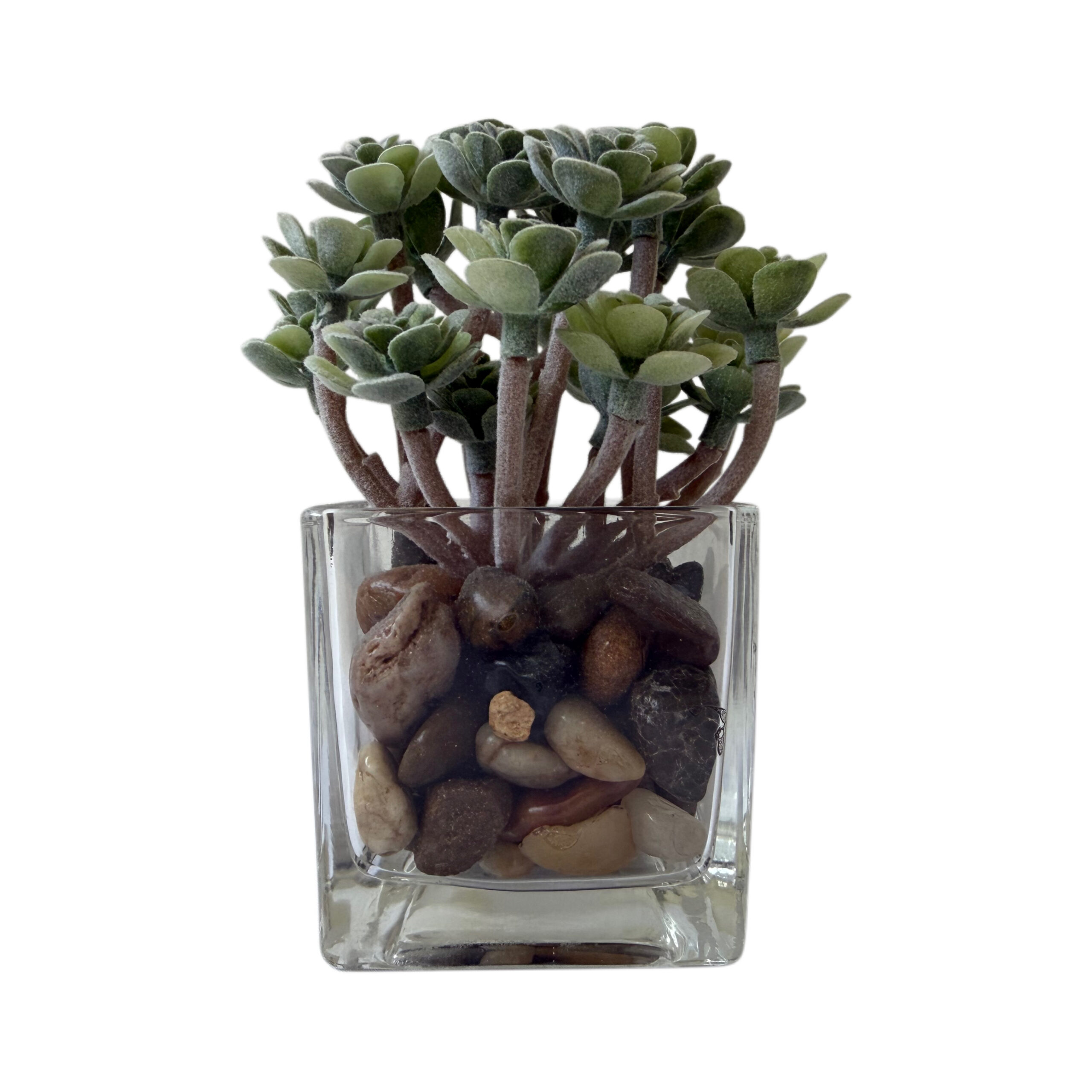 Suculenta artificial con base de cristal