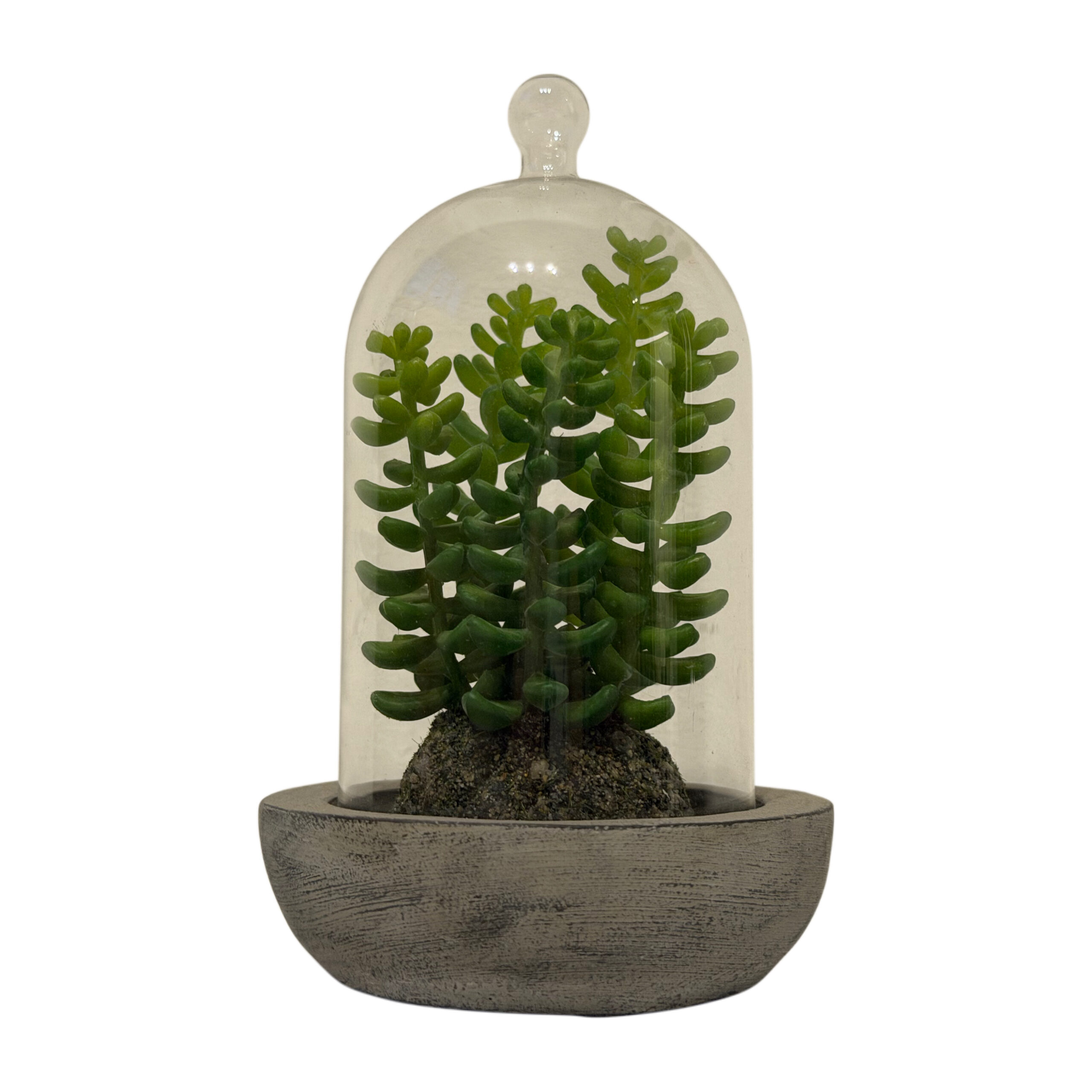 Suculenta artificial con base de cemento