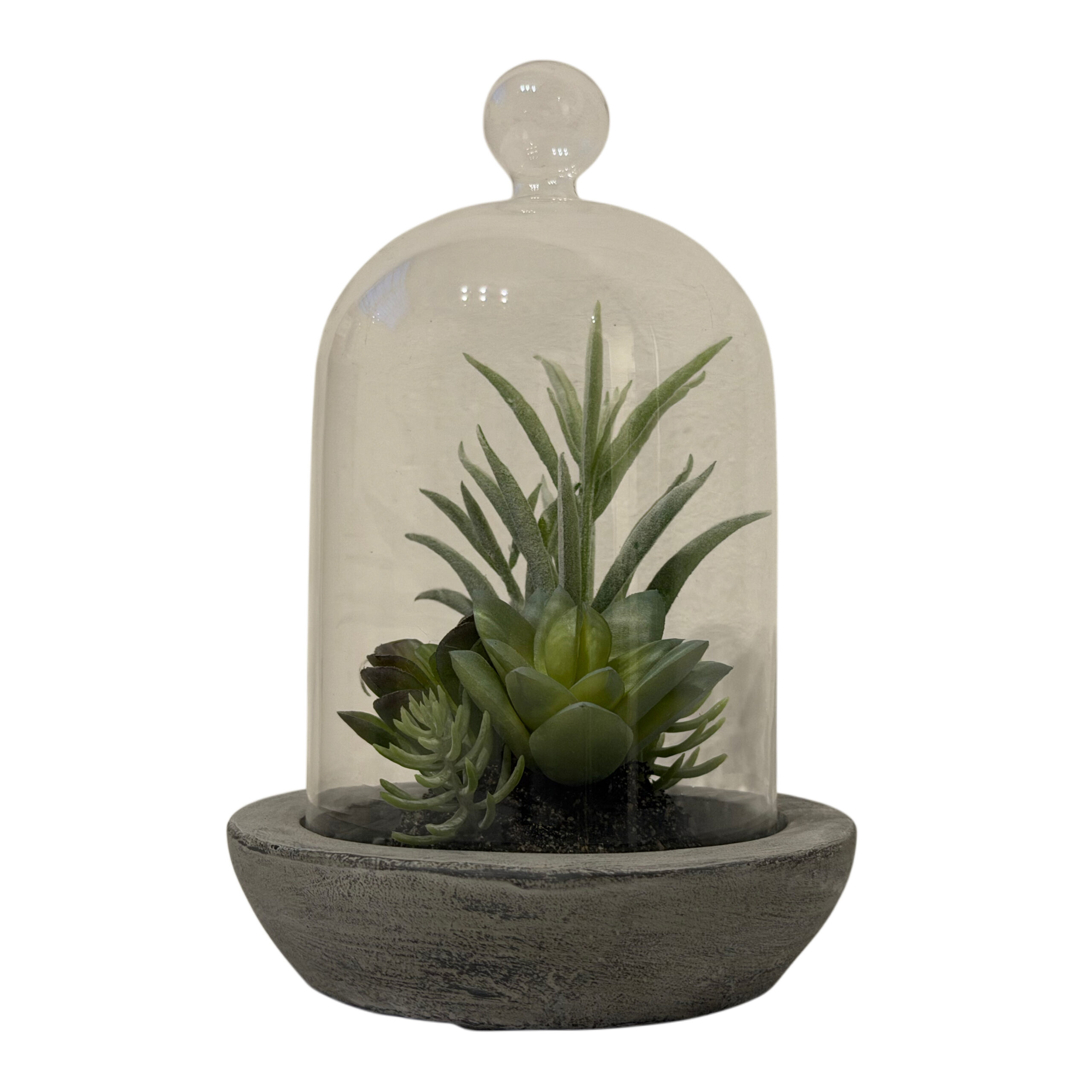 Suculenta artificial con base de cemento