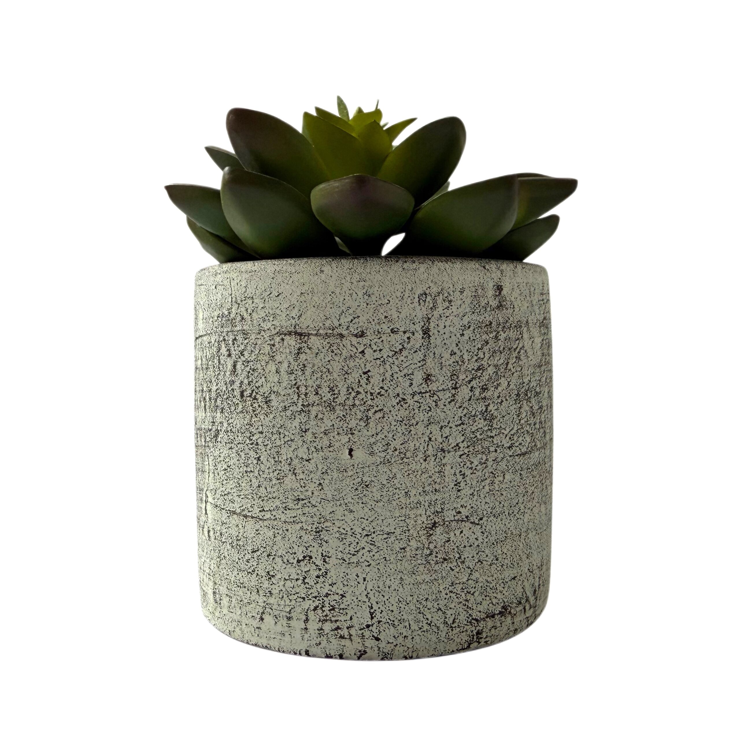 Suculenta artificial con base de resina
