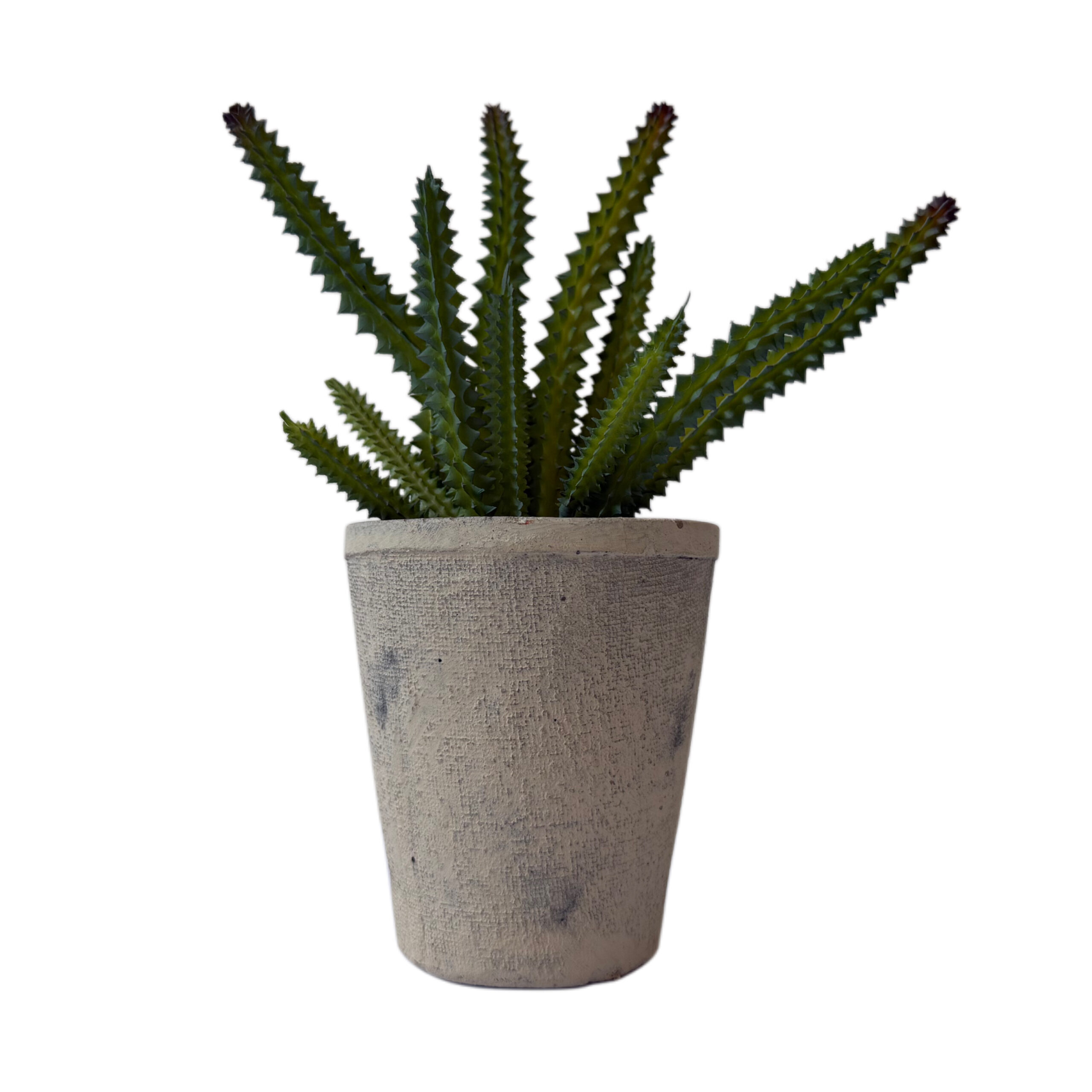 Suculenta artificial con base de resina
