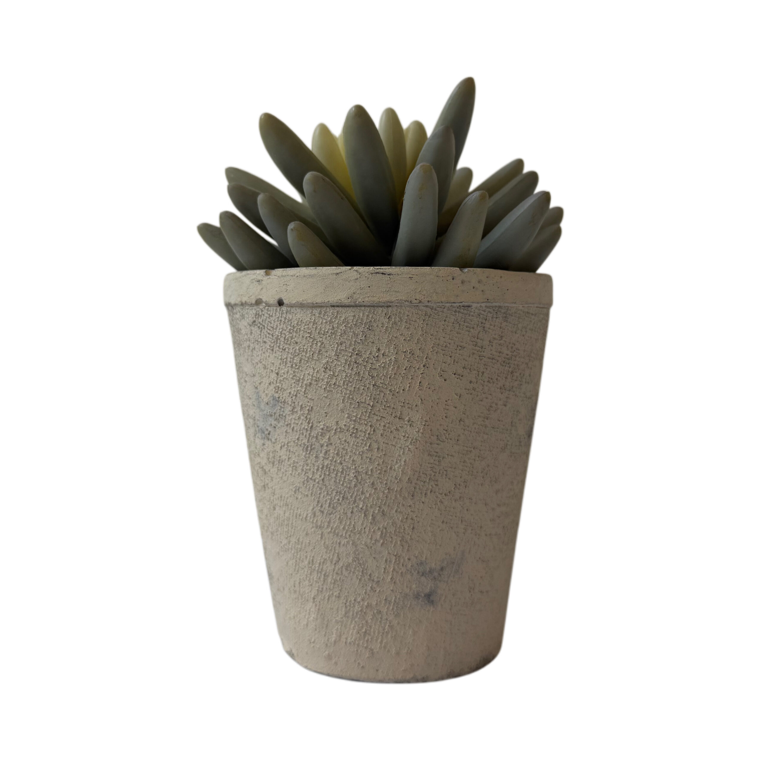 Suculenta artificial con base de resina