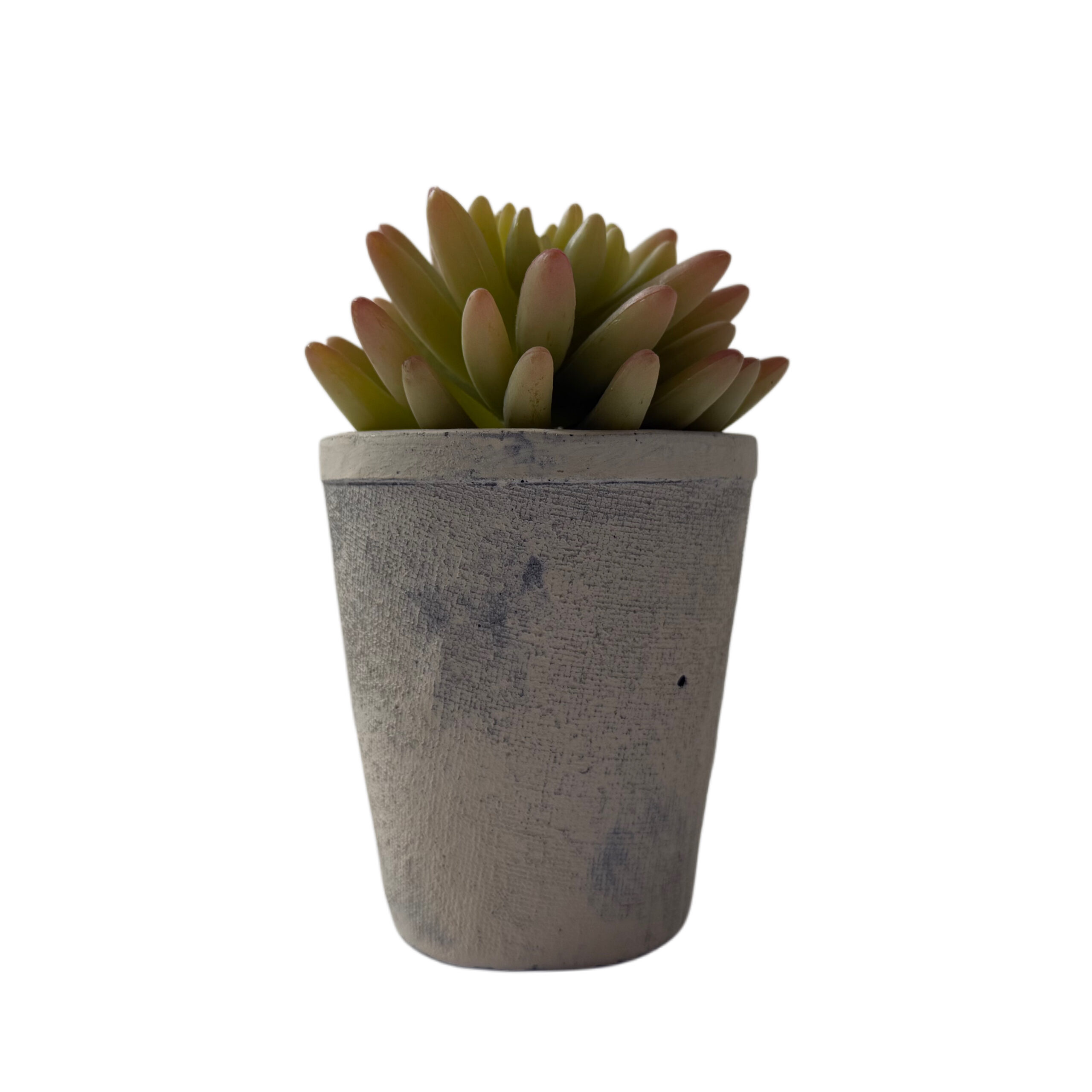 Suculenta artificial con base de resina
