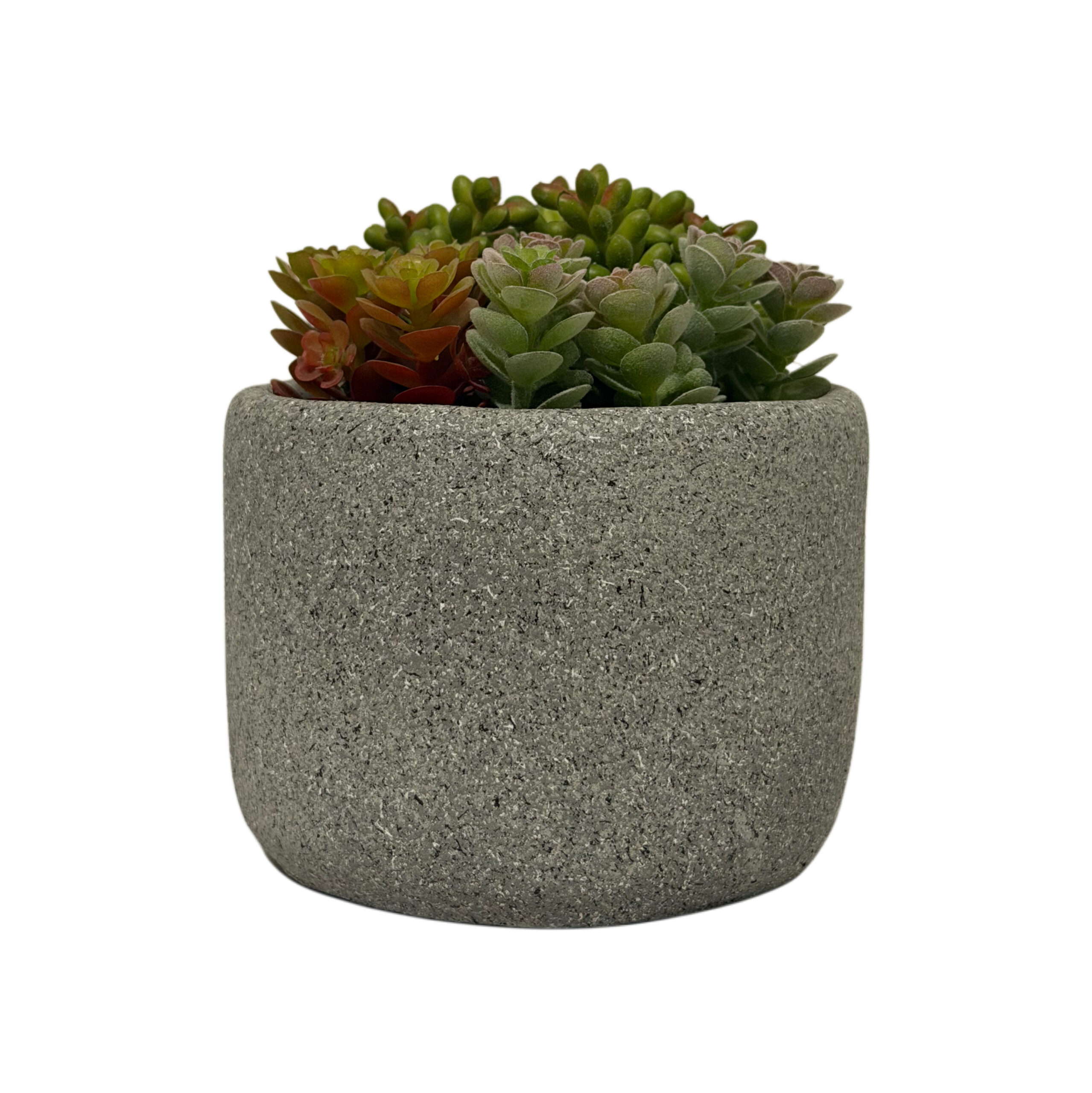 Suculenta artificial con base de cemento