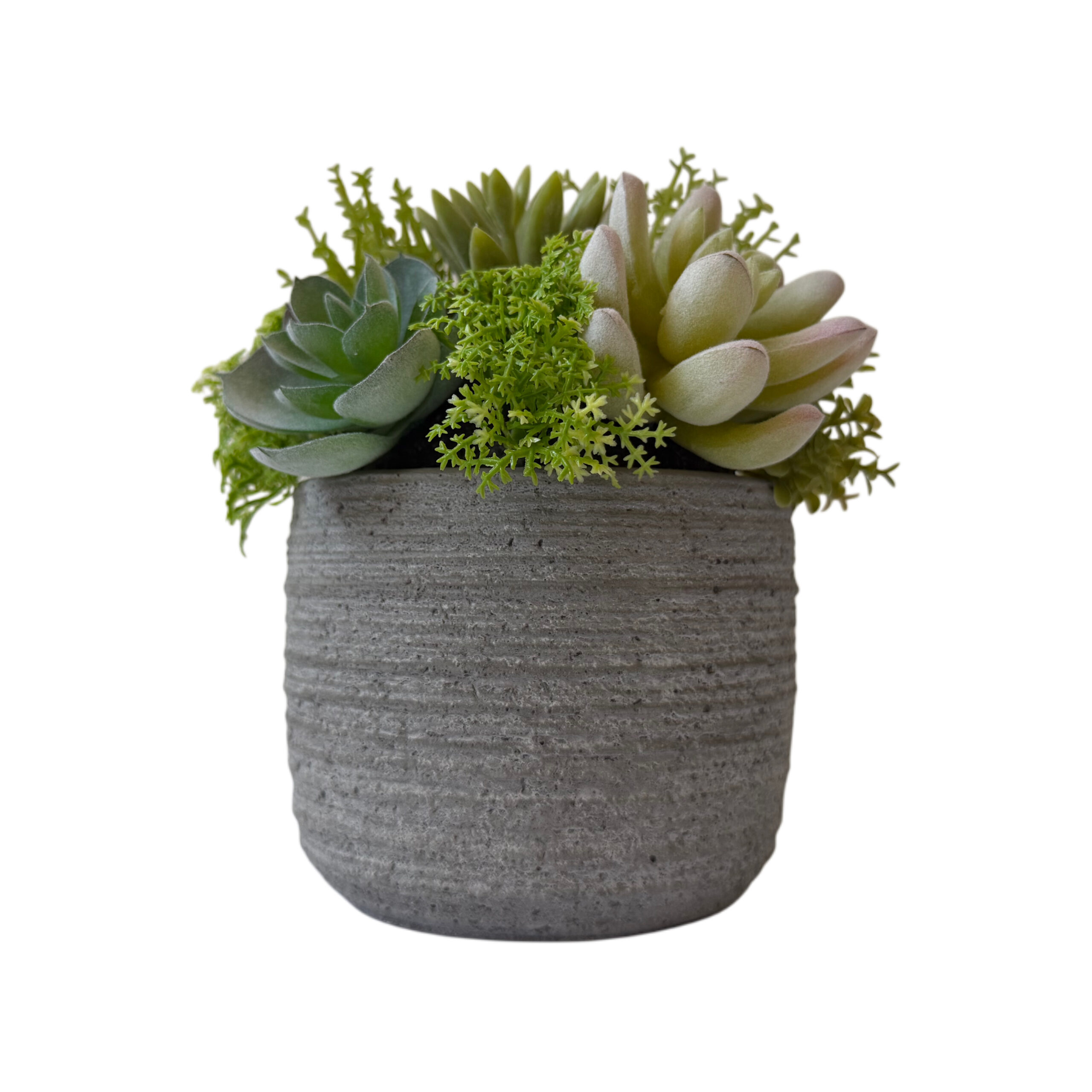 Suculenta artificial con base de cemento