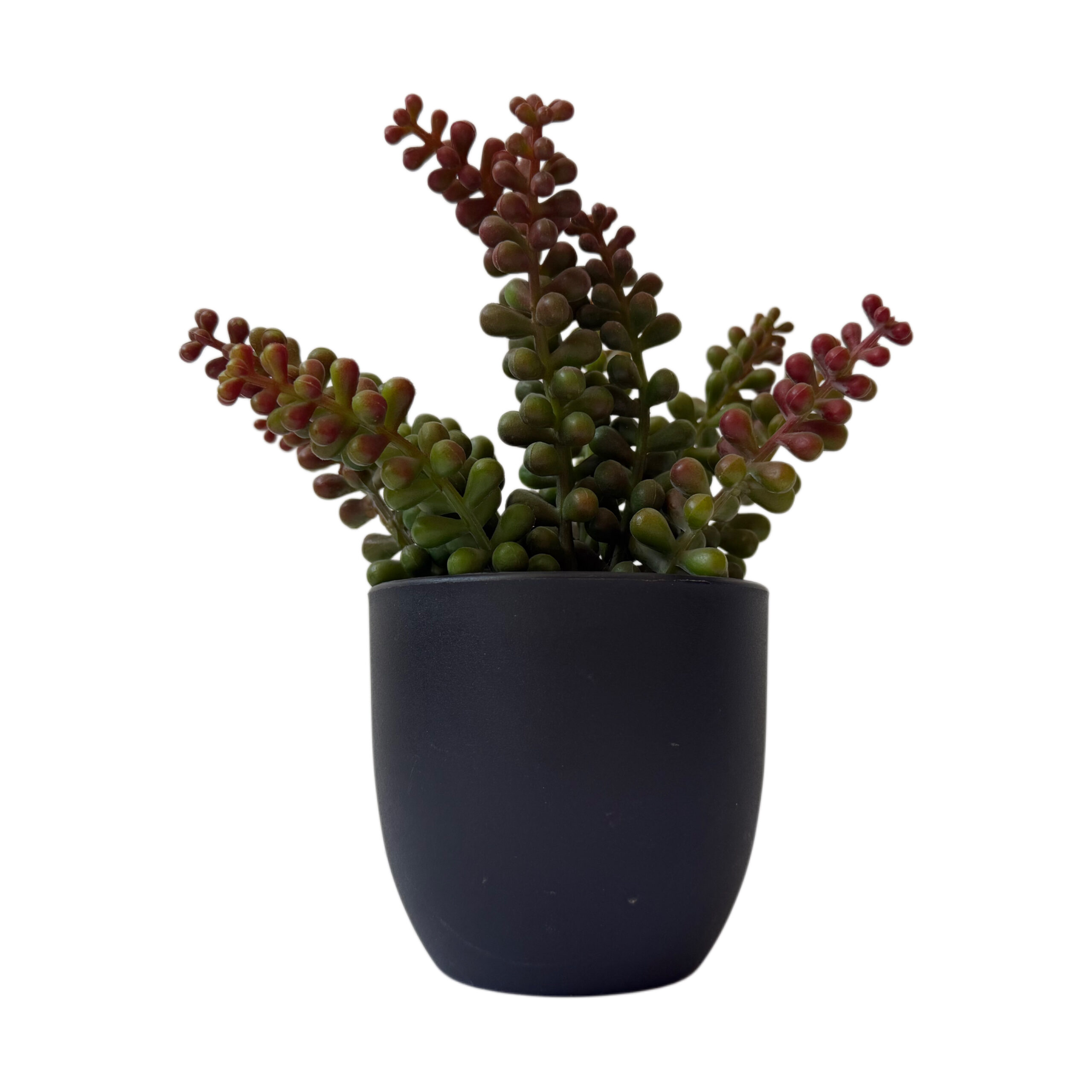 Suculenta artificial con base de plástico